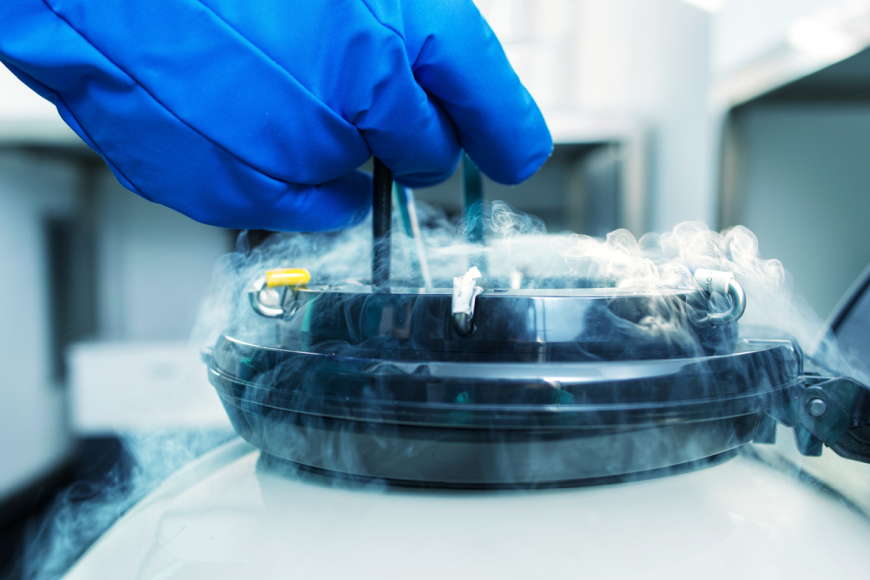 8 Things that You Need to Know About Egg Freezing 8 Things that You Need to Know About Egg Freezing