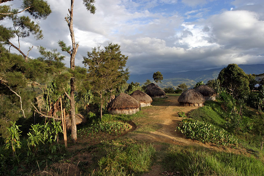 Papua New-Guinea