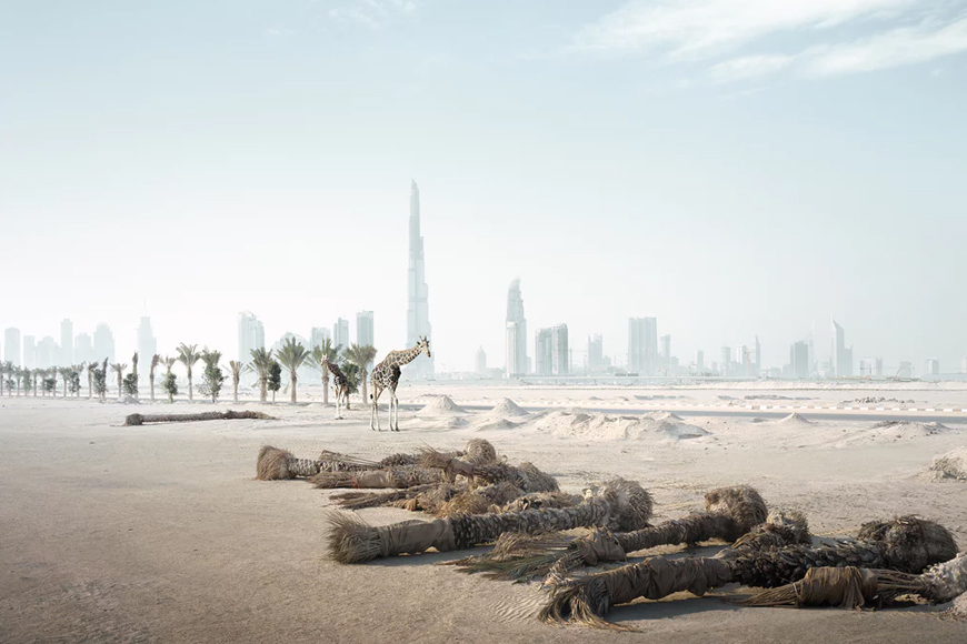 In Pics: Photographer Imagines Zoo Animals Loose in Dubai