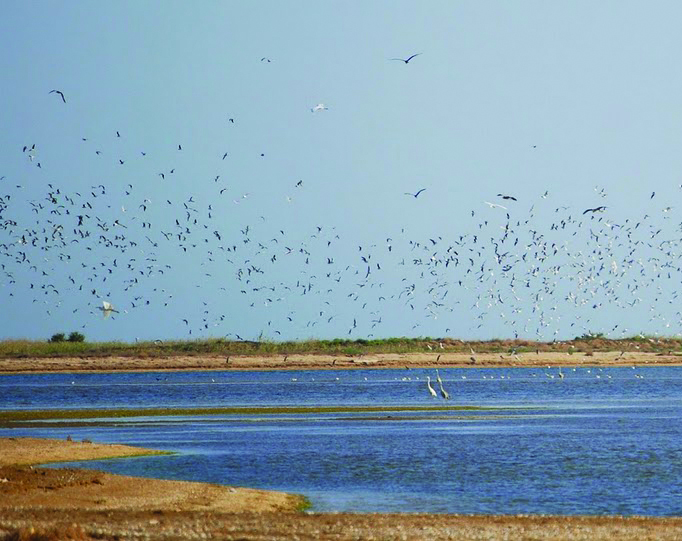 Absheron National Park