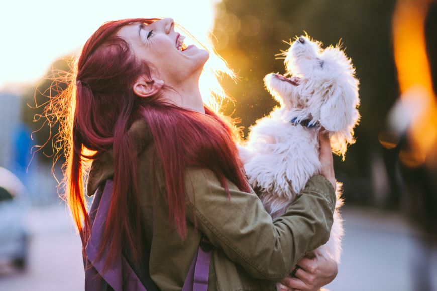 The Pup That Changed Your Life Support The OSCAS Shelter Dogs Adoption Day