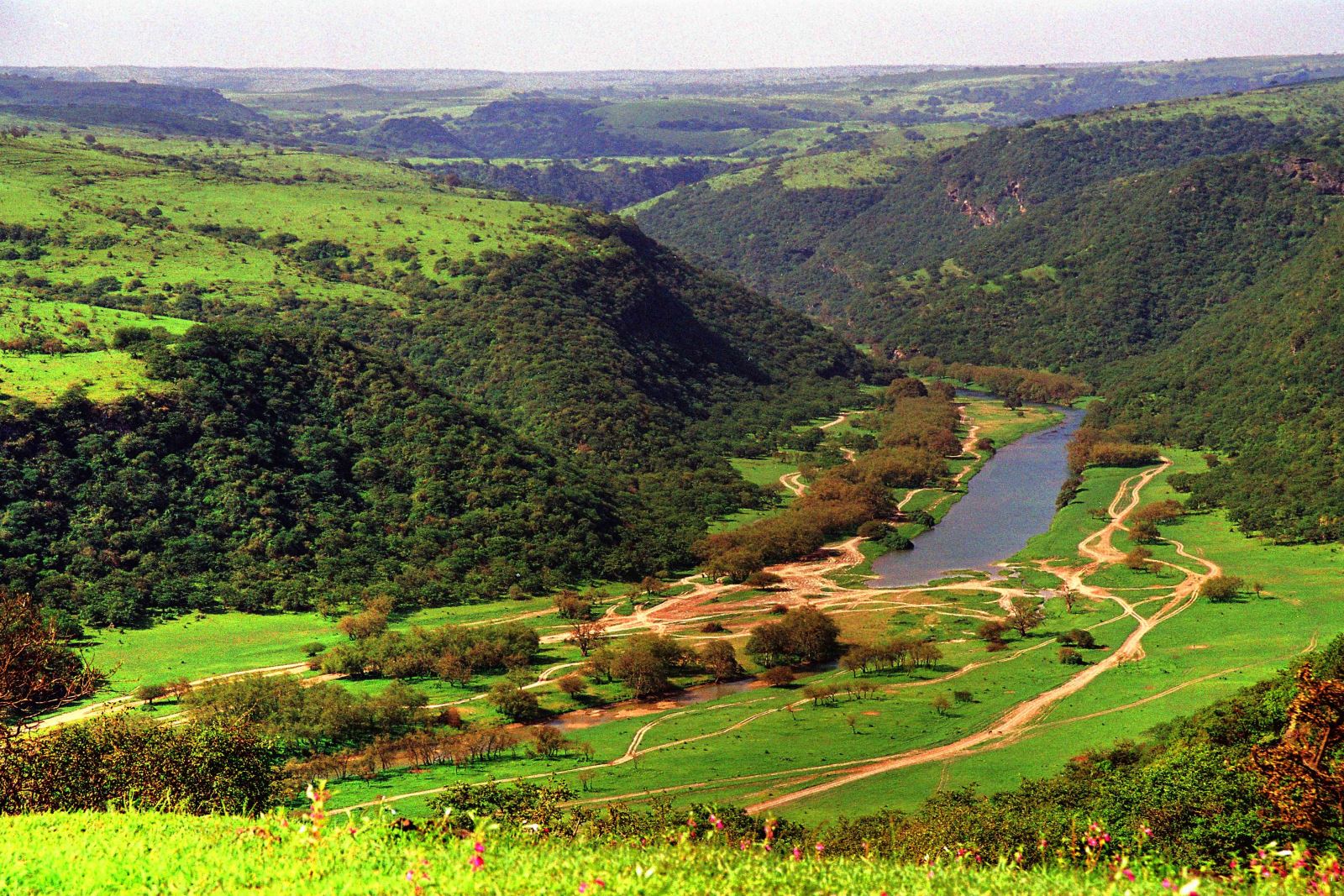 Salalah 