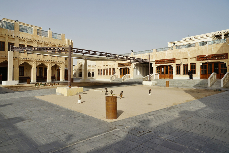 Falcon Souq in Qatar