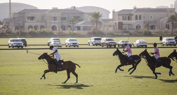 Dubai Polo and Equestrian Club