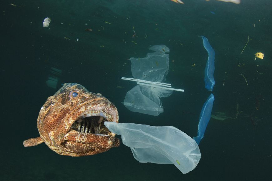 Microplastics: What are they? Microplastics: What are they?