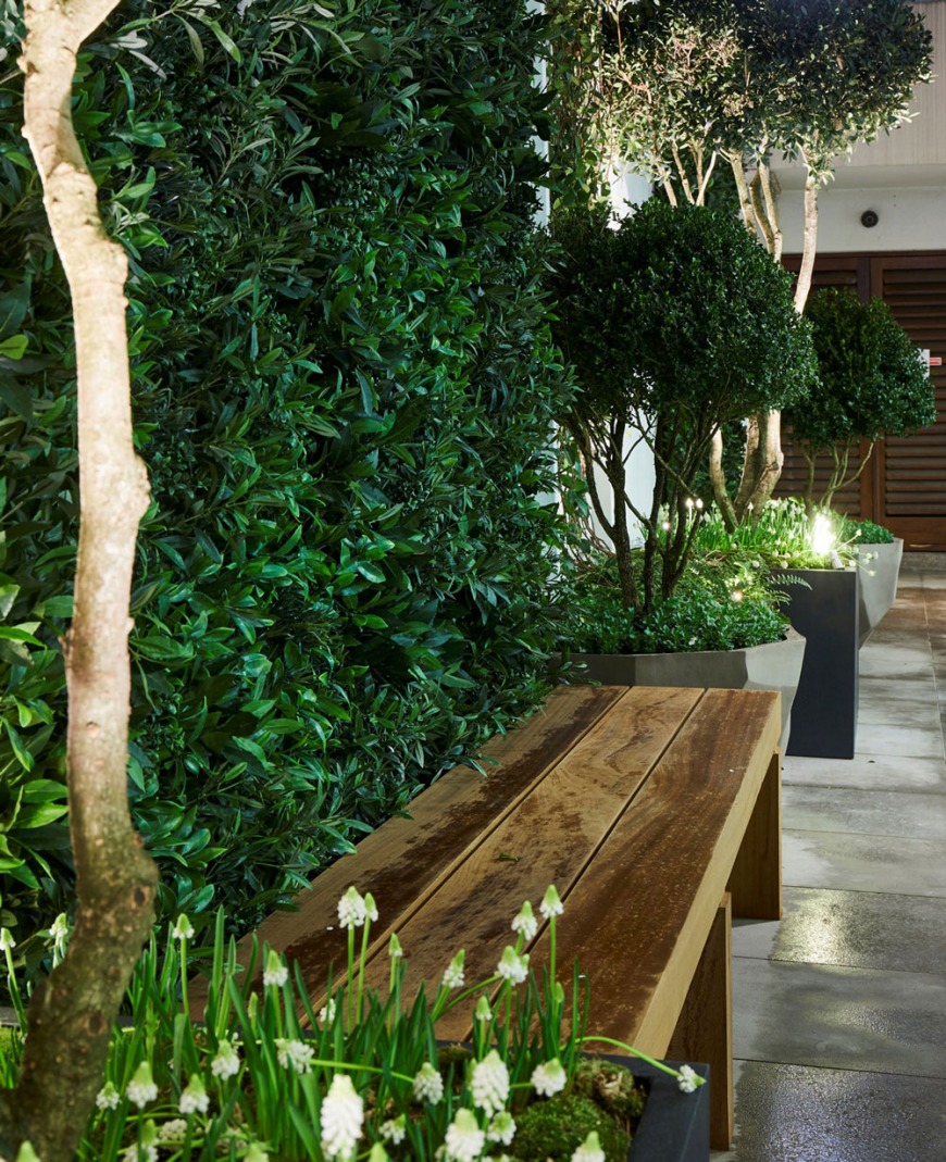 Artificial greenwall of magnolia, bay and buxus. Depth provided by pots planted with natural multi stems underplanted with seasonal bulbs for atmosphere, scent and colour