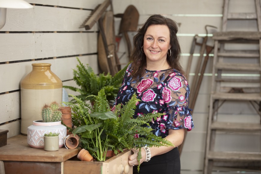 Which Houseplants Work Best and How Should You Care for Them?