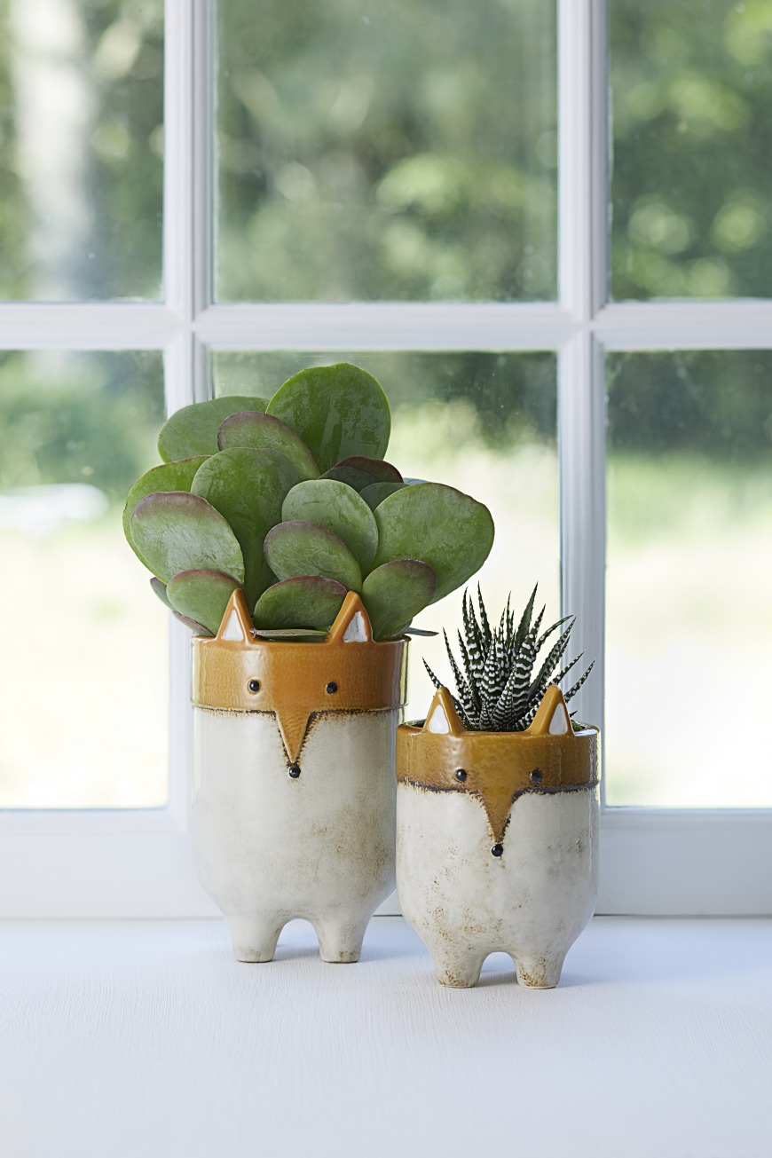 What tips would you give for caring for houseplants? What tips would you give for caring for houseplants?