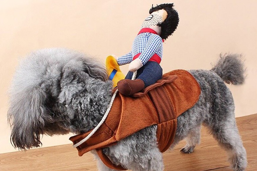 Cowboy rider costume for dogs Cowboy rider costume for dogs