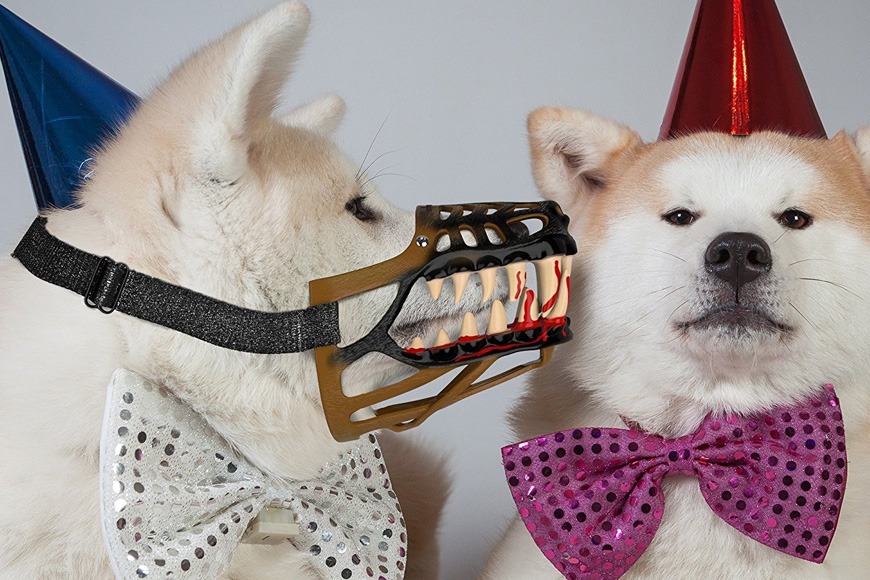 SpookyPup halloween muzzle SpookyPup halloween muzzle