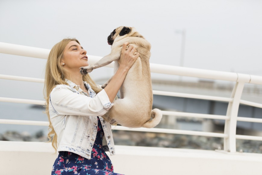 How to adopt a dog in Dubai and the UAE How to adopt a dog in Dubai and the UAE