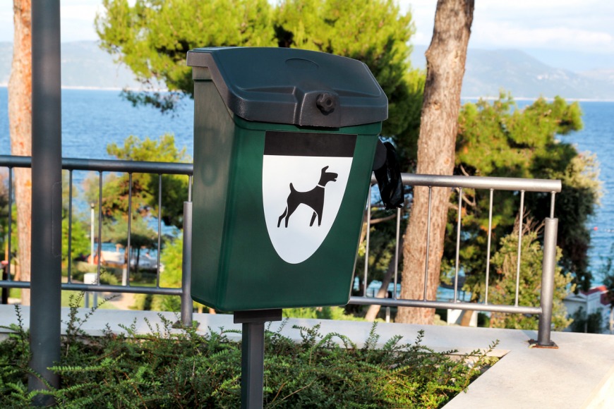 Dog owner rules and regulations in Dubai Dog owner rules and regulations in Dubai