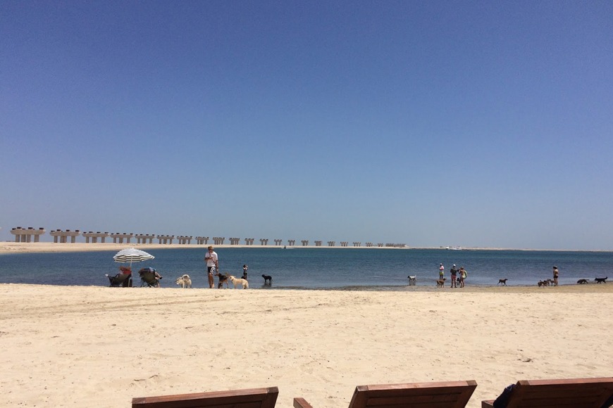 The best beaches in Dubai to visit - Jebel Ali Beach in Dubai