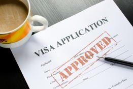 Application for a work permit / visa