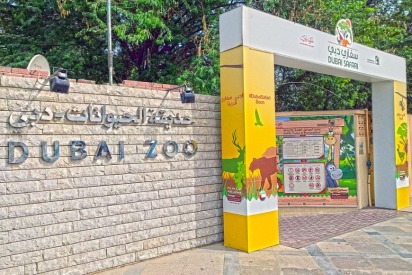 Dubai Zoo Closing Countdown Begins Dubai Zoo Closing Countdown Begins