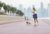 Dog Friendly Beaches in Dubai