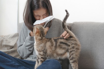 How To Prevent Pet Allergies Expatwoman Com