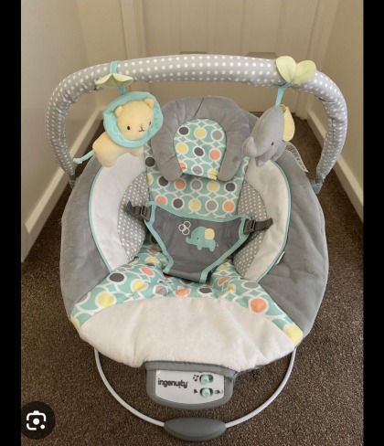 Baby bouncer ingenuity